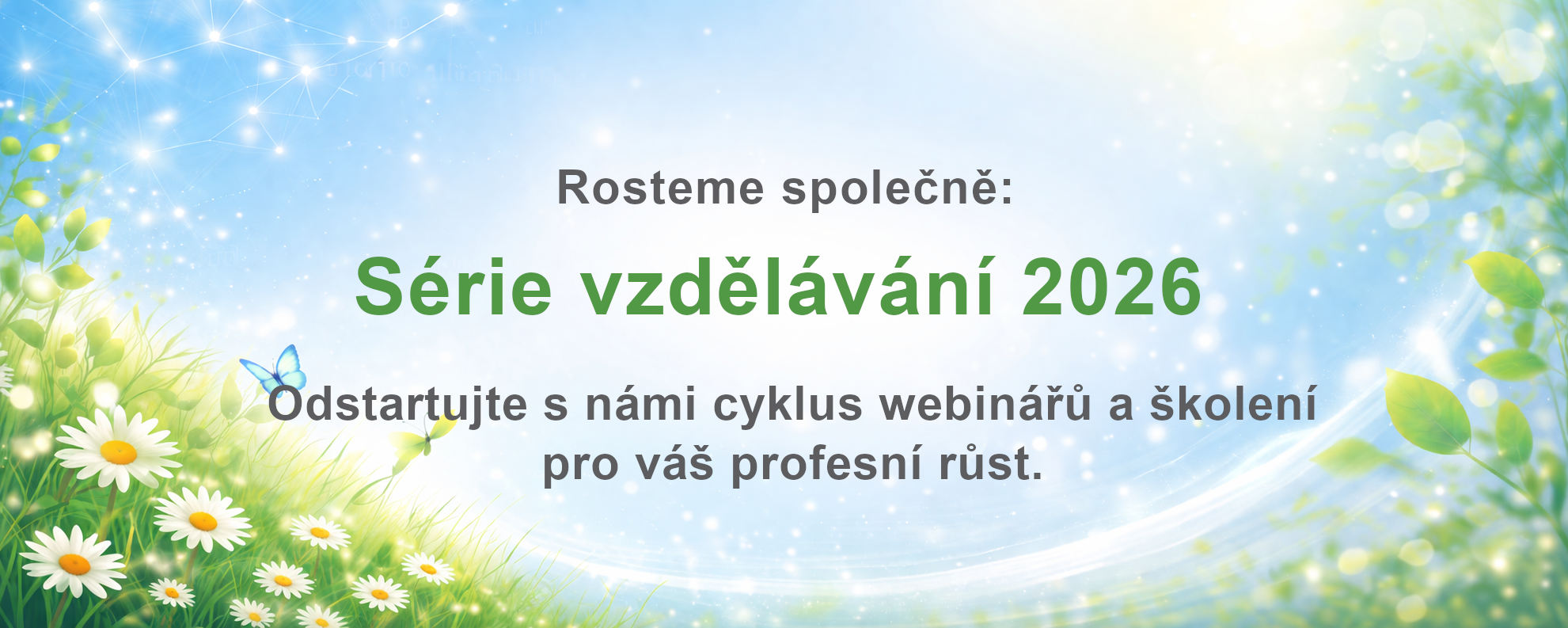 Ilustrační obrázek 1